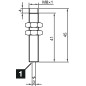Inductive proximity sensor